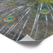 Poster Stunning (Coin)