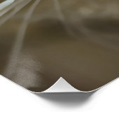 Poster Stunning Grey Chat Animal Portrait Artistique (Coin)