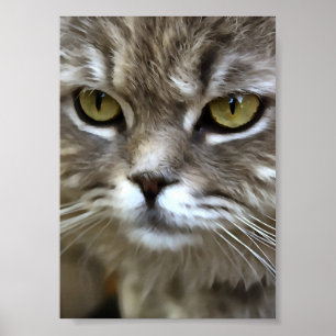 Poster Stunning Grey Chat Animal Portrait Artistique