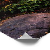 Poster Stunning Japanese Garden & Koi Pond (Coin)