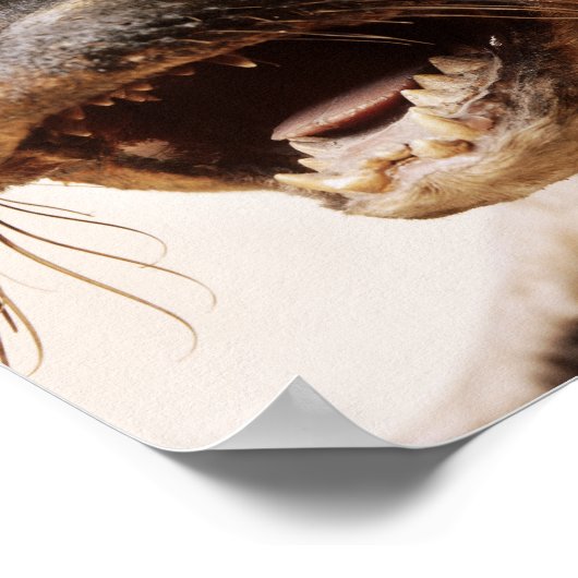 Poster style de joint (Coin)