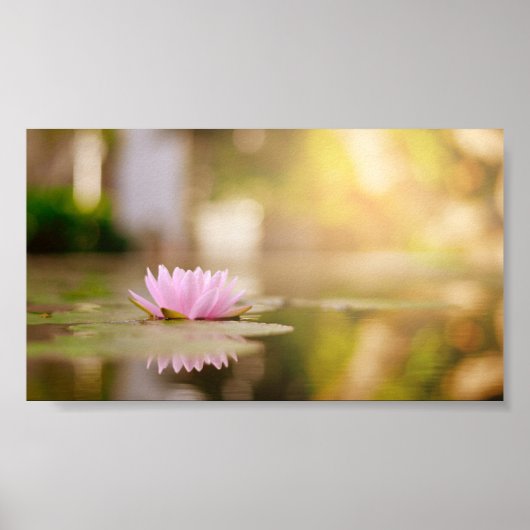 Poster Style Lotus Flower Paysage, Zen (Devant)