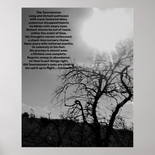POSTER STYLES D'AFFICHES ET DE DESIGN  (Devant)