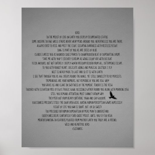 POSTER STYLES D'ART ET DE DESIGN D'AFFICHE (Devant)