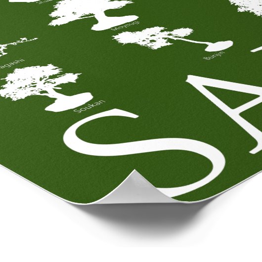 Poster Styles de base de l'arbre Bonsai (Coin)
