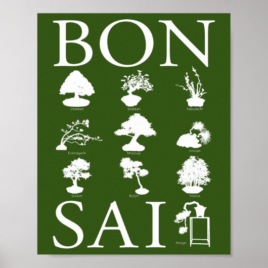 Poster Styles de base de l'arbre Bonsai (Devant)
