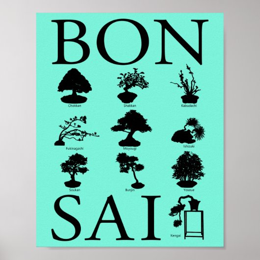 Poster Styles de base de l'arbre Bonsai (Devant)