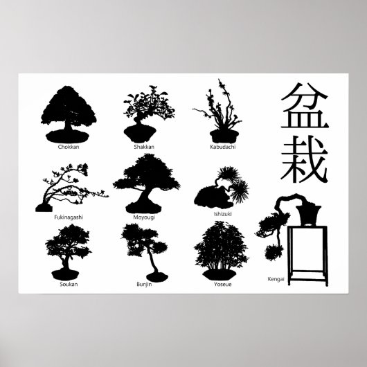 Poster Styles de base de l'arbre Bonsai 10 (Devant)