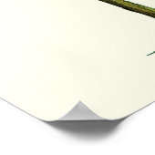 Poster Stylet banane et encre (Coin)