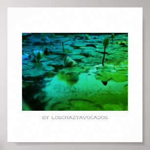 Poster Stylisé Pink Water Lily Flowers Pond