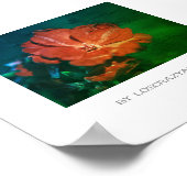 Poster stylisé rouge vert Geranium (Coin)