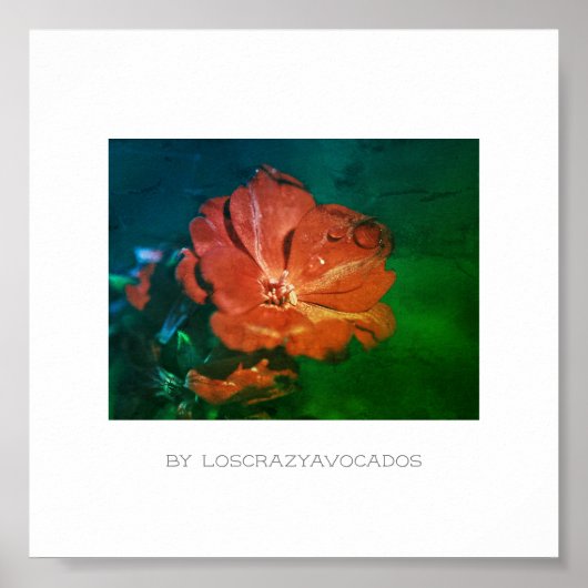 Poster stylisé rouge vert Geranium (Devant)