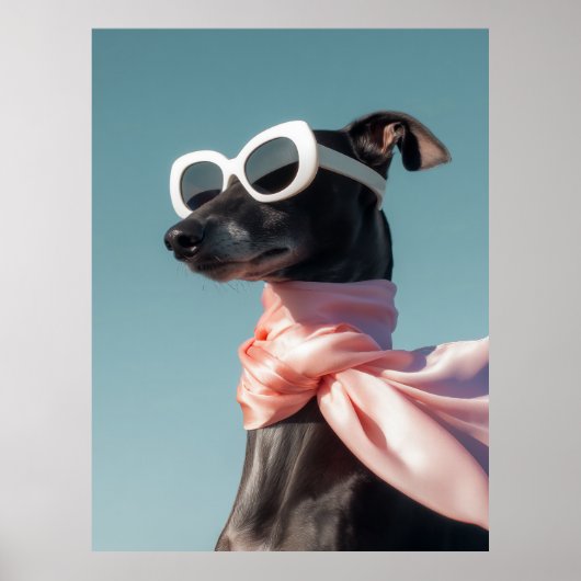 Poster Stylish Dog With Sunglasses Scarf (Devant)