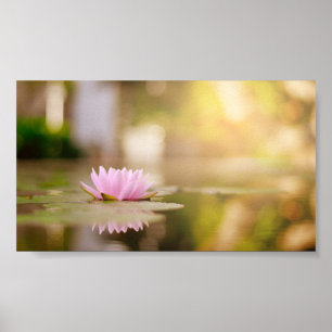 Poster Stylish Lotus Flower Landscape, Zen