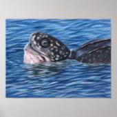 Poster Stylized Basking Leatherback Sea Turtle (Devant)