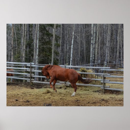 Poster Stylo à cheval Sorrel Spiritué Bucking dans un sty (Devant)