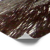 Poster Stylo Galleon et dessin à encre en noir et blanc (Coin)