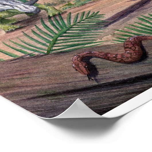 Poster Styracosaurus (Coin)