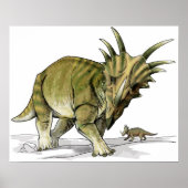 Poster Styracosaurus - Dinosaure crétois (Devant)
