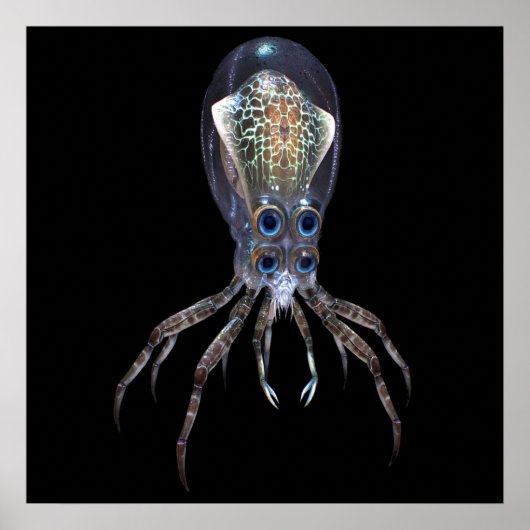 Poster Subnautica Crabsquid (Devant)