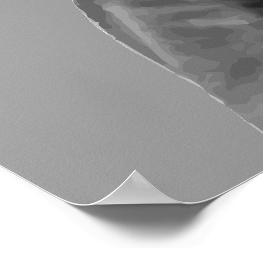 Poster Subvention (Coin)