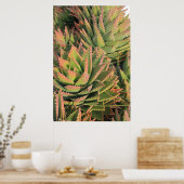 Poster succulent (Cuisine)