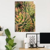 Poster succulent (Bureau à domicile)