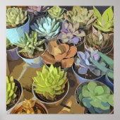 Poster Succulent (Devant)