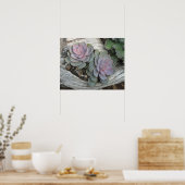 Poster Succulent Echeveria (Cuisine)
