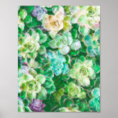 Poster Succulent jardin par Cindy Bendel (Devant)