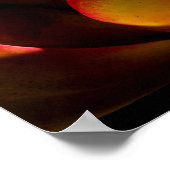 Poster Succulent Plante du désert (Coin)