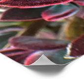 Poster Succulente Velvet Rouge (Coin)