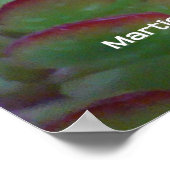 Poster Succulents (Coin)