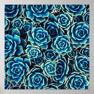 Poster Succulents