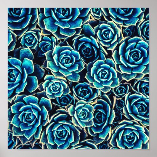 Poster Succulents (Devant)