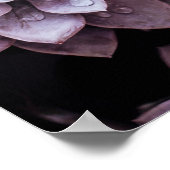 Poster Succulents (Coin)