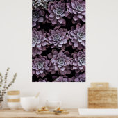 Poster Succulents (Cuisine)