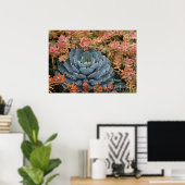 Poster Succulents bleu et orange (Bureau à domicile)