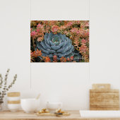 Poster Succulents bleu et orange (Cuisine)