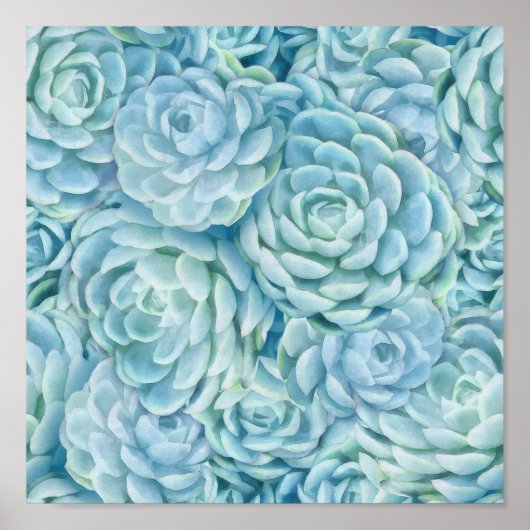 Poster Succulents bleus (Devant)