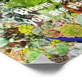 Poster Succulents colorés à l'herbe argentée (Coin)