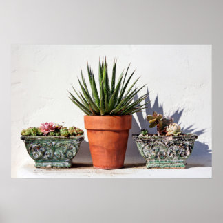 Poster Succulents pointillés