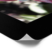 Poster Succulents subtils (Coin)