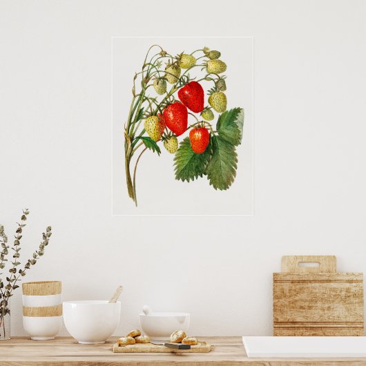 Poster Succursale vintage de fraises (Cuisine)
