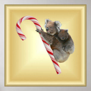 Poster Sucre de canne de Noël Koalas