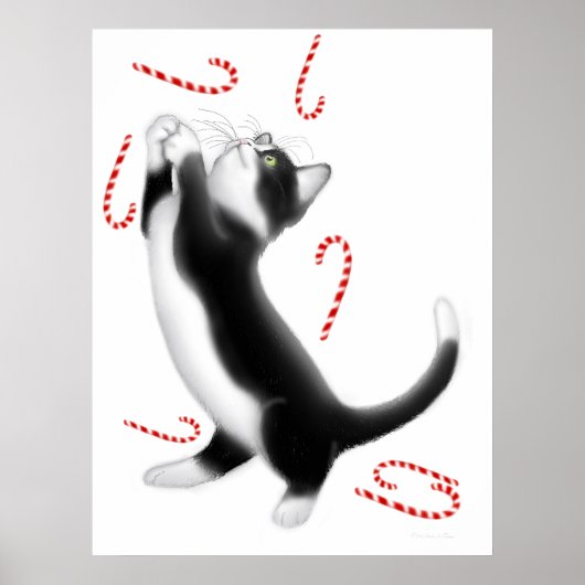 Poster Sucre de canne Jouets en chats Imprimer (Devant)