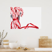 Poster sucres de canne (Cuisine)