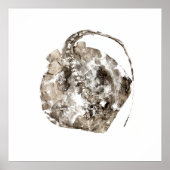 Poster Sud de Stingray (Devant)