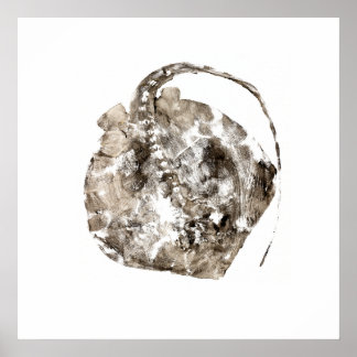 Poster Sud de Stingray