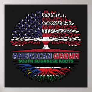Poster Sud-Soudan Sud-Soudan Amérique États-Unis racines